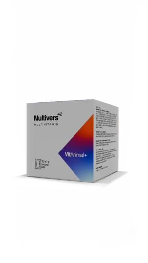 Multivers42