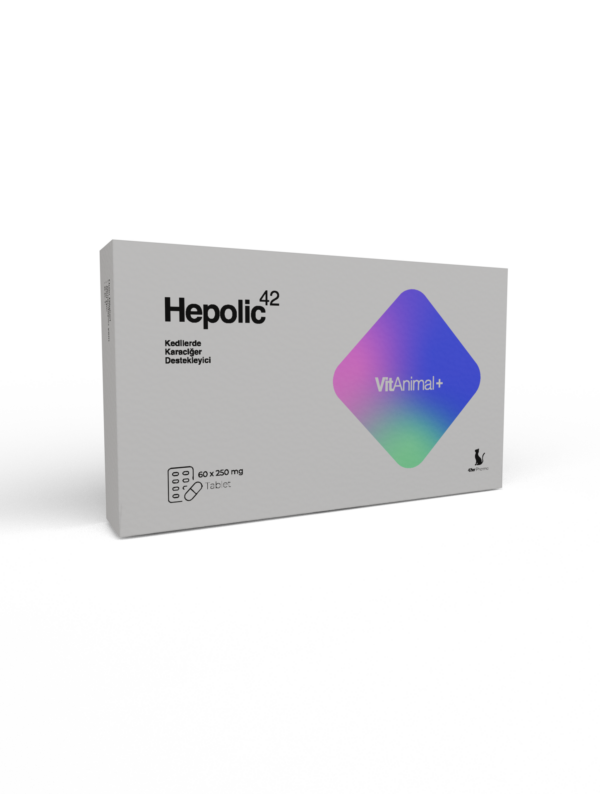 Hepolıc 42