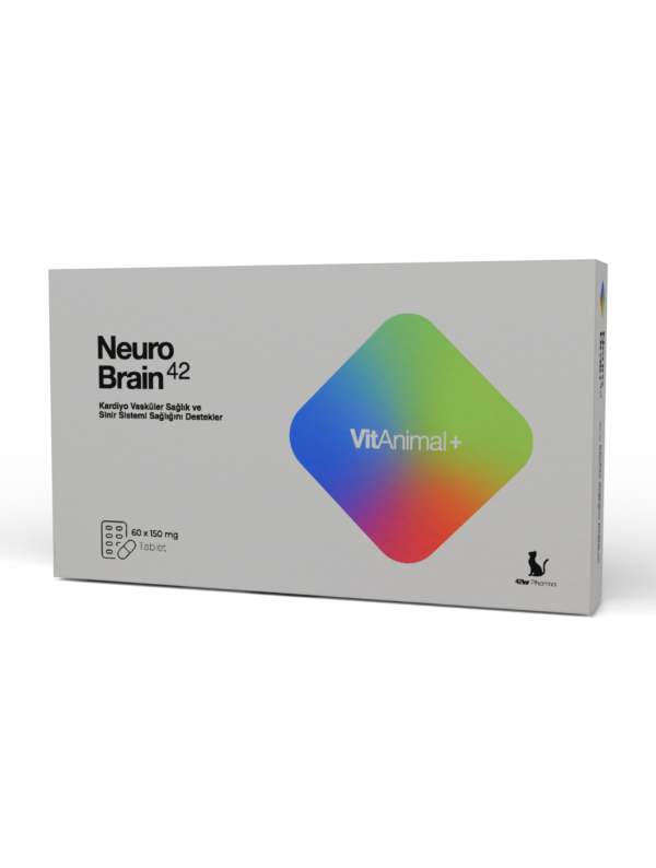 Neuro Brain 42
